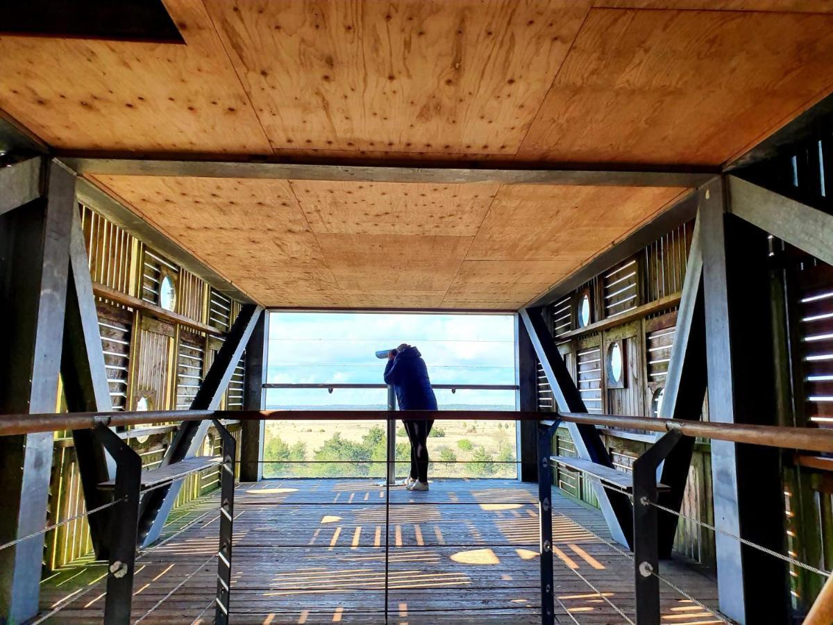 4p chalet TOLVE met 2 fietsen vlakbij natuurgebieden Drents Friese Wold, Fochteloërveen en gevangenisdorp Veenhuizen Oosterwolde  Buitenkant foto