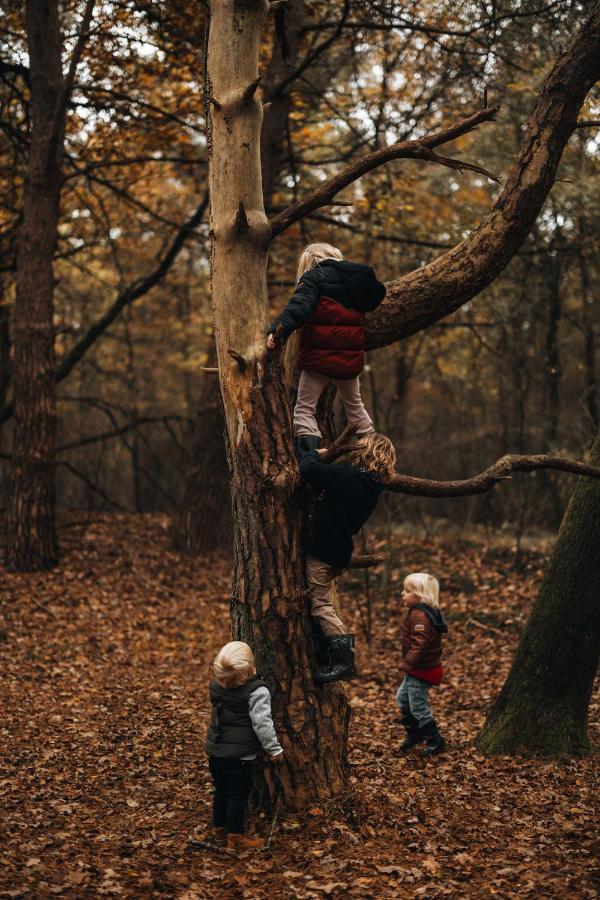 4p chalet TOLVE met 2 fietsen vlakbij natuurgebieden Drents Friese Wold, Fochteloërveen en gevangenisdorp Veenhuizen Oosterwolde  Buitenkant foto