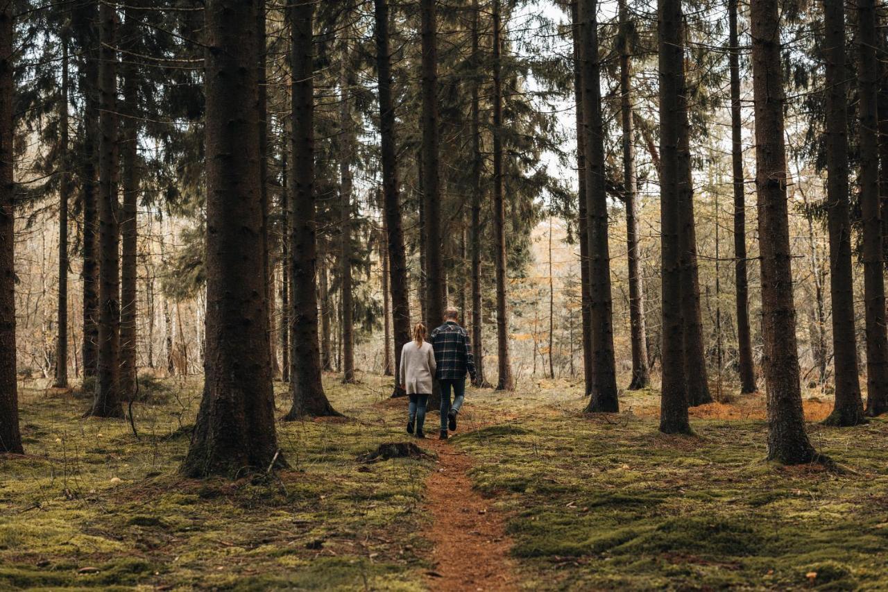 4p chalet TOLVE met 2 fietsen vlakbij natuurgebieden Drents Friese Wold, Fochteloërveen en gevangenisdorp Veenhuizen Oosterwolde  Buitenkant foto